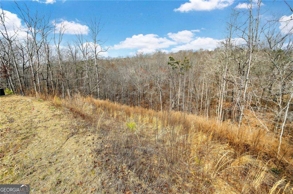 7070 Hammock Trail Property Photo 8