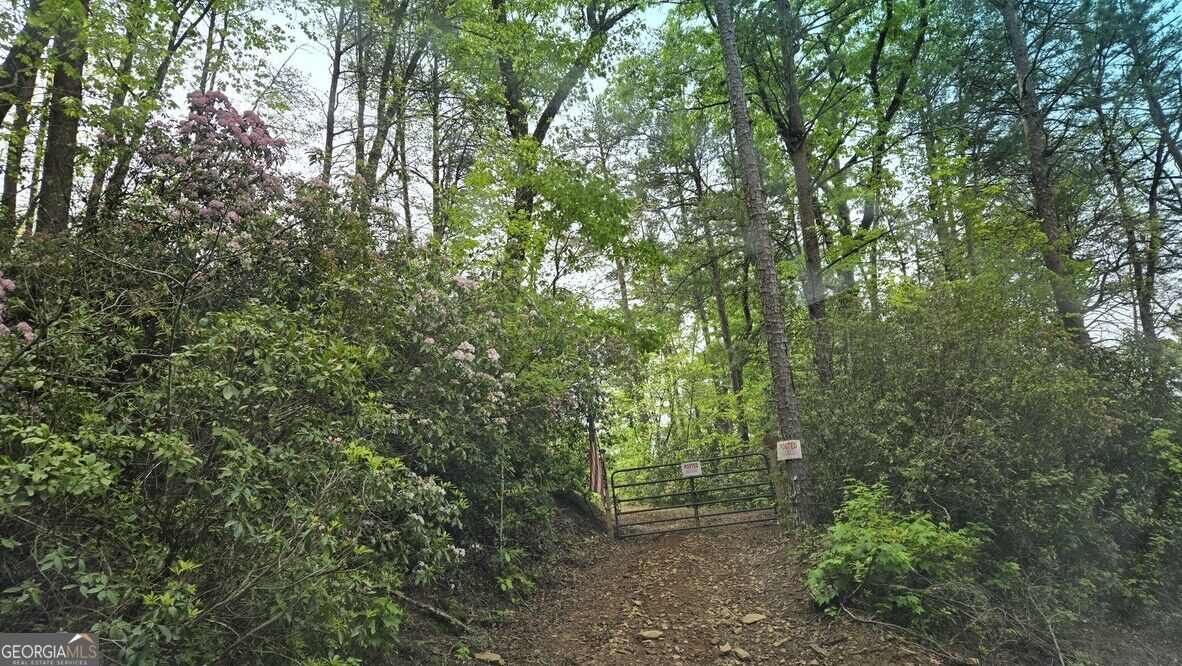 1354 Pine Ridge Road Property Photo 4