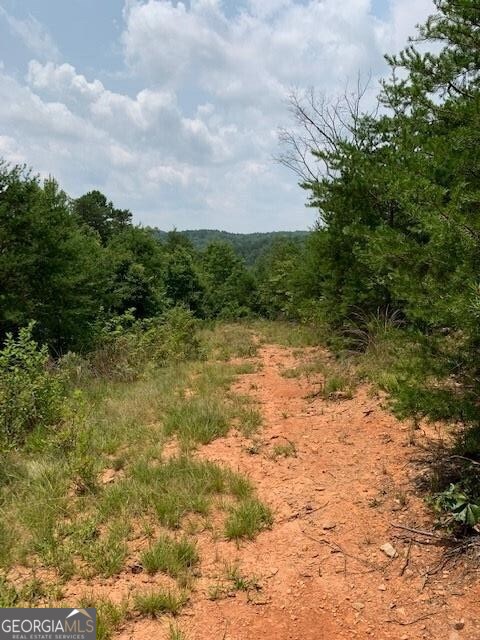 1354 Pine Ridge Road Property Photo 5