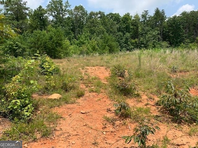 1354 Pine Ridge Road Property Photo 6
