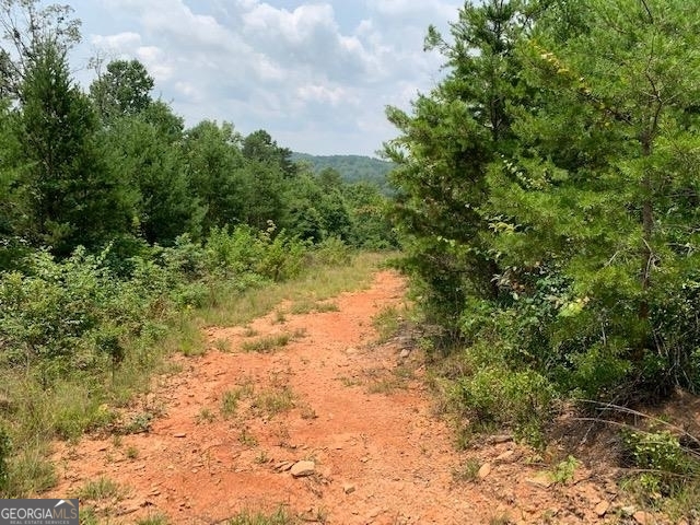 1354 Pine Ridge Road Property Photo 7