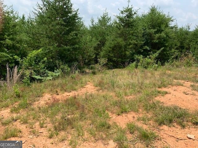 1354 Pine Ridge Road Property Photo 8