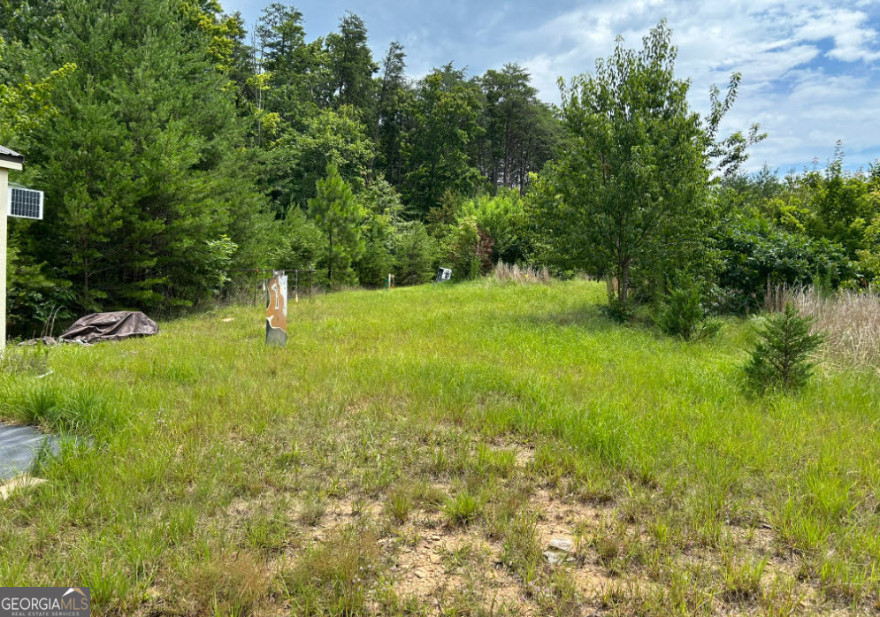1354 Pine Ridge Road Property Photo 10