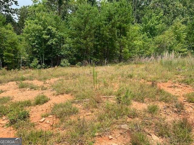 1354 Pine Ridge Road Property Photo 11