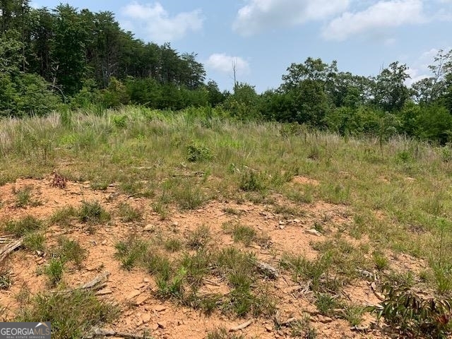 1354 Pine Ridge Road Property Photo 13