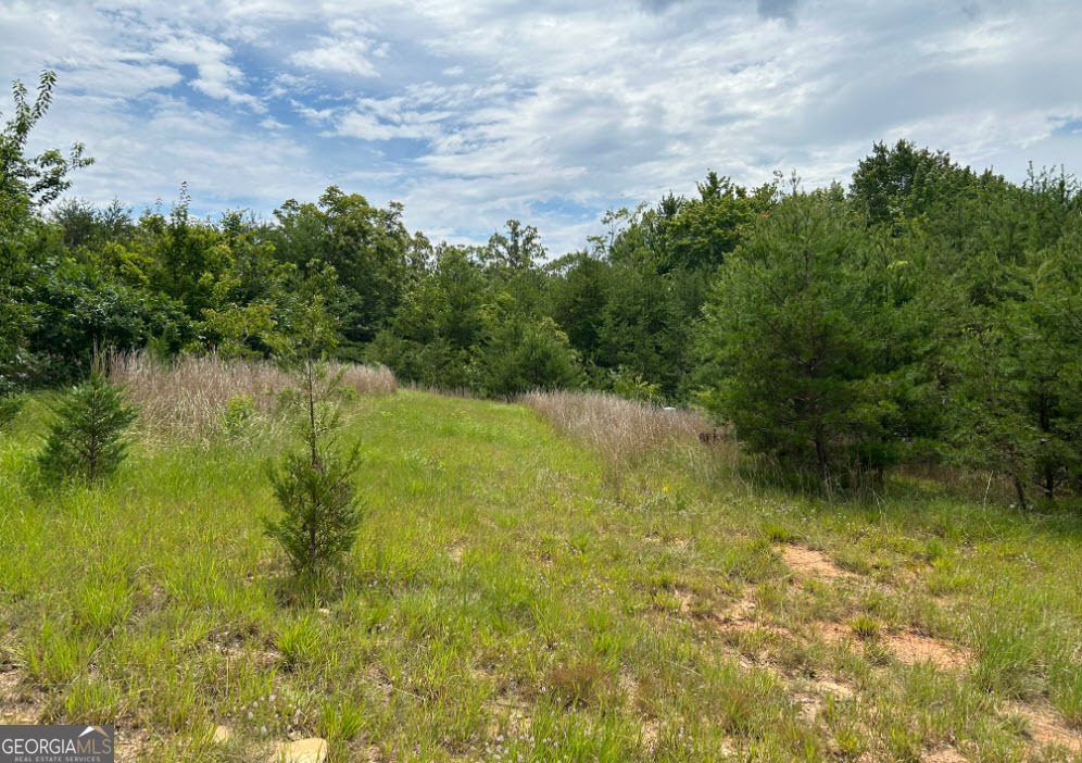 1354 Pine Ridge Road Property Photo 14