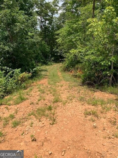 1354 Pine Ridge Road Property Photo 15