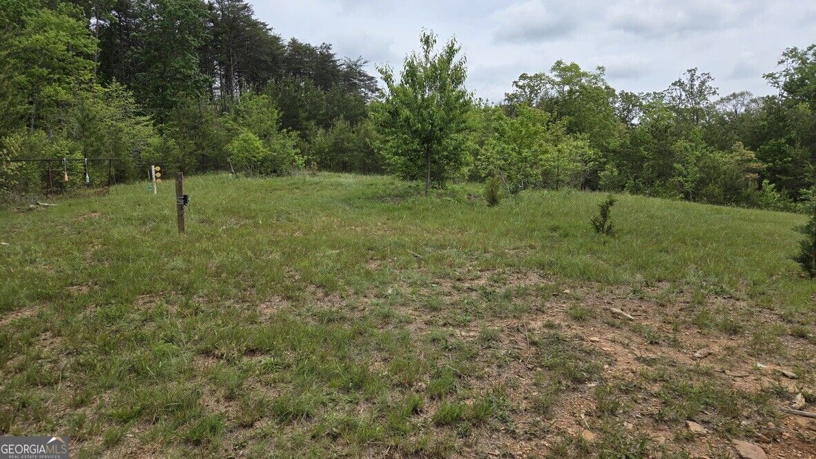 1354 Pine Ridge Road Property Photo 17