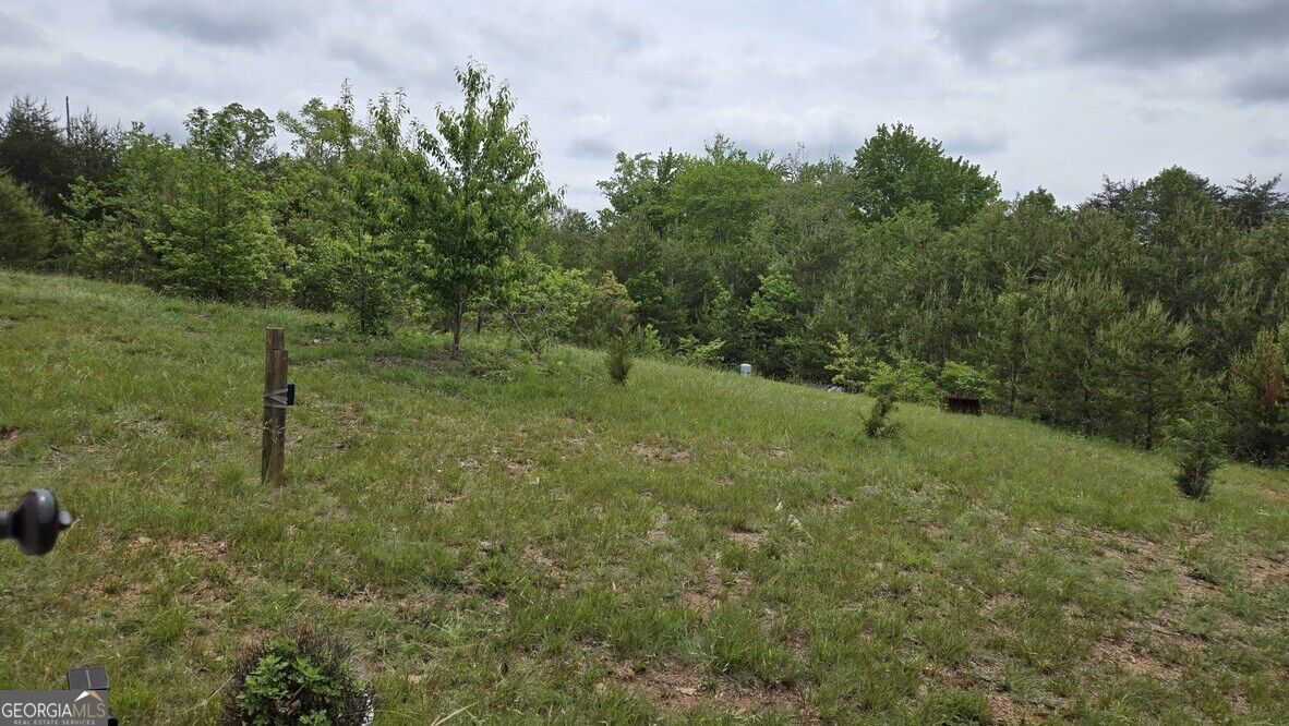 1354 Pine Ridge Road Property Photo 18