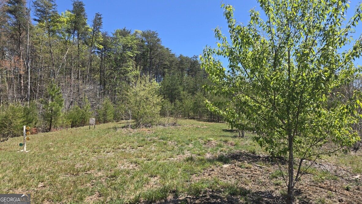 1354 Pine Ridge Road Property Photo 19