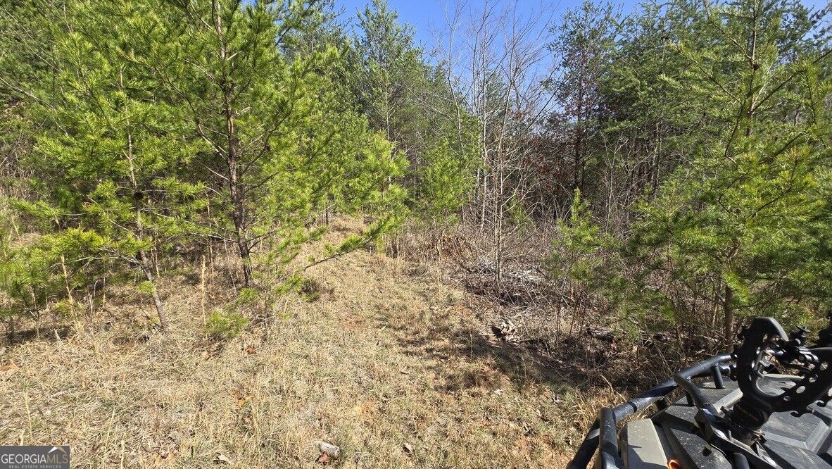 1354 Pine Ridge Road Property Photo 21