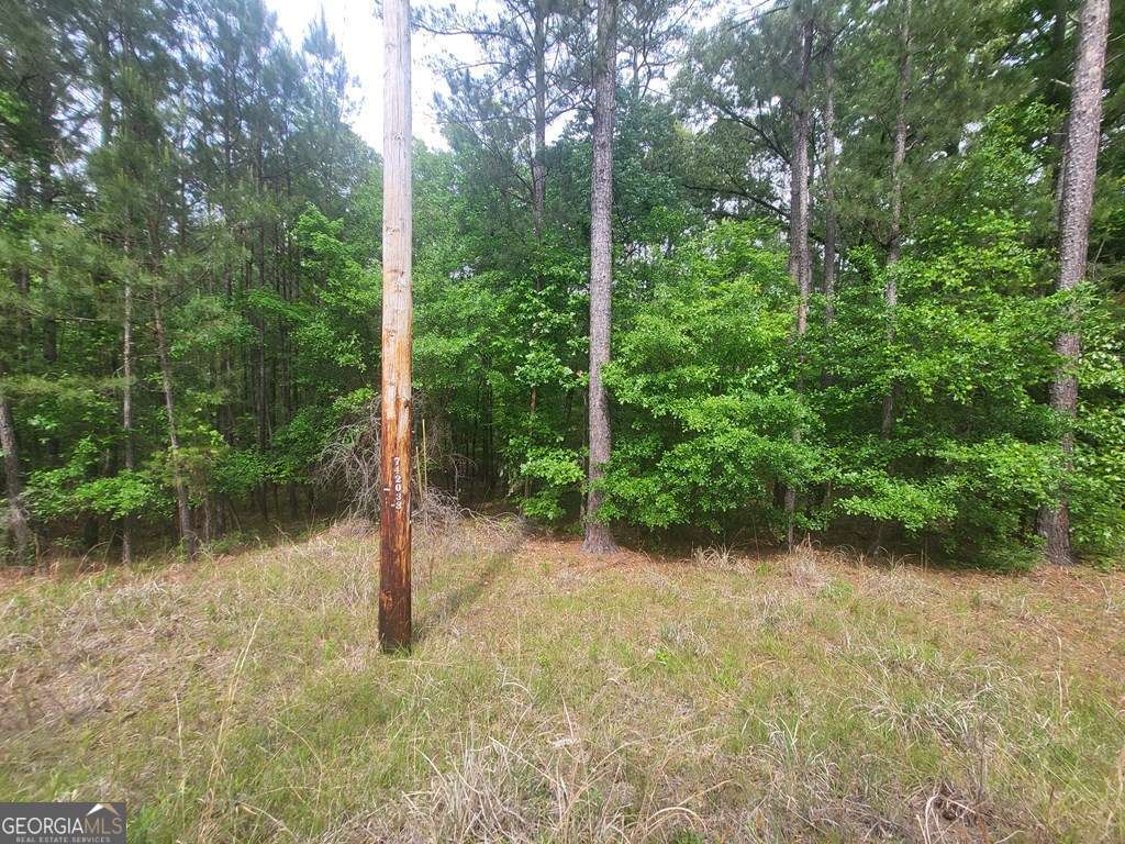 0 Dianthus Drive Property Photo 3