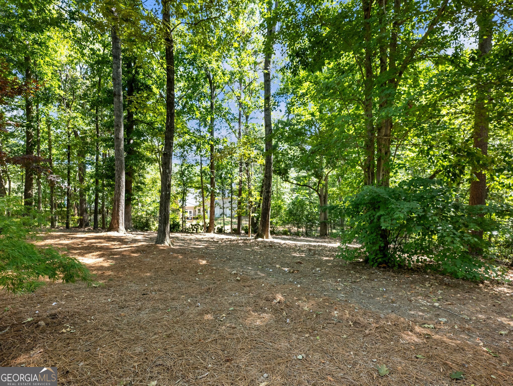 3965 Hamilton View Way Property Photo 76