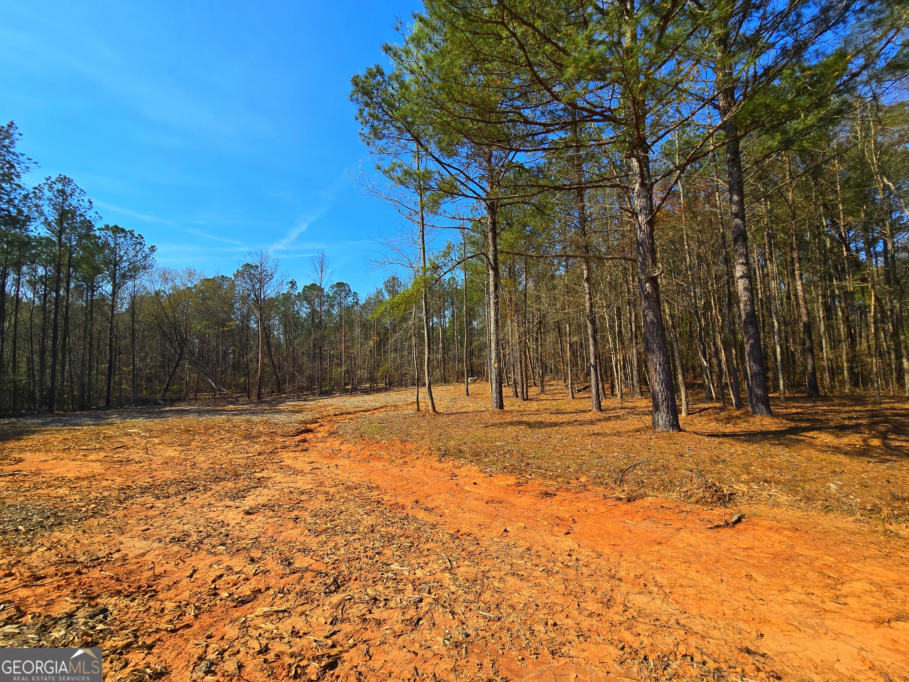 2001 Rocky Creek Road Property Photo 8