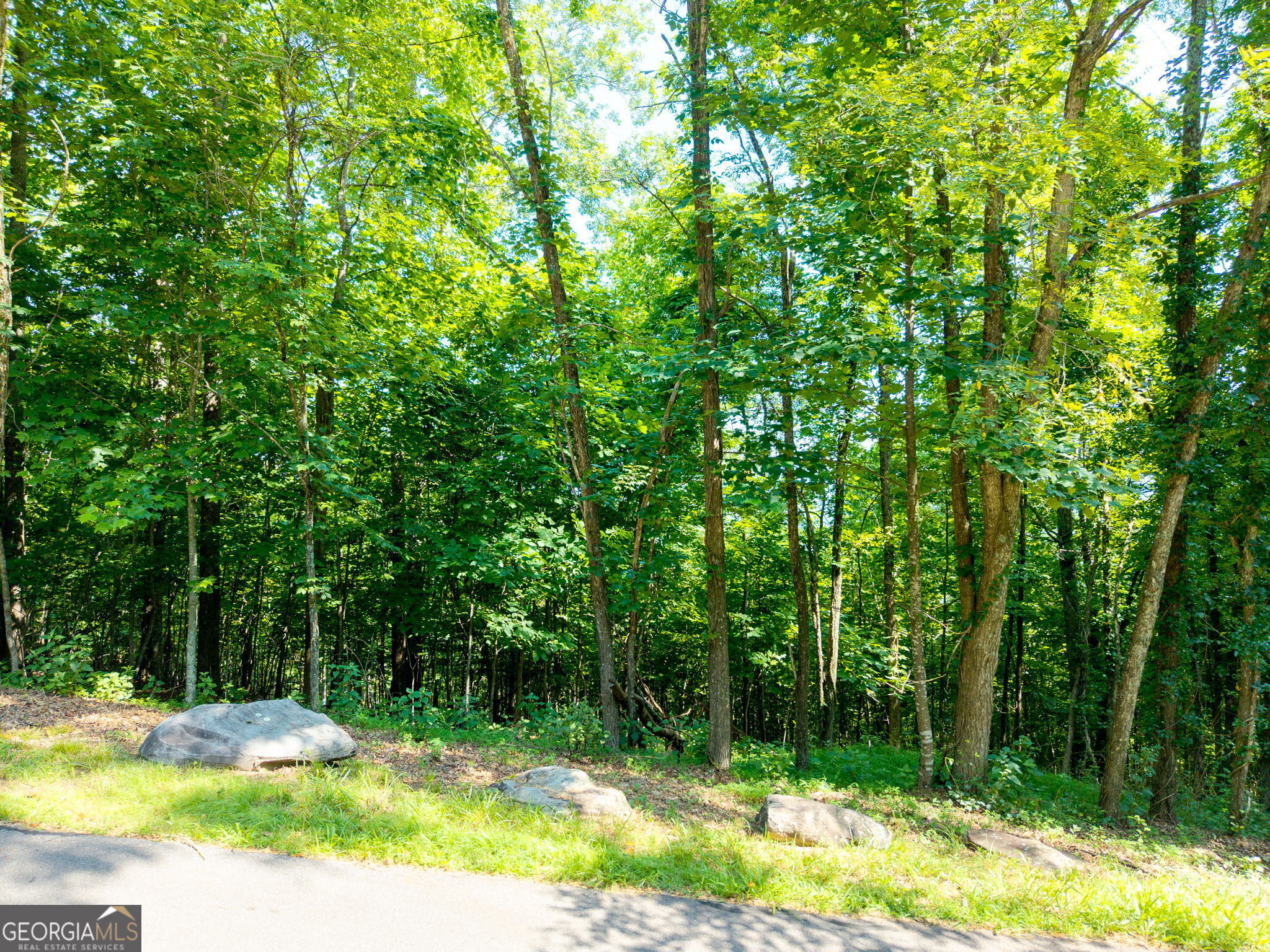 46 Buck Ridge Property Photo 1
