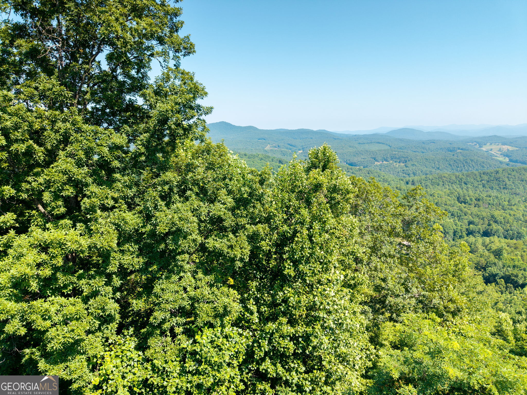 46 Buck Ridge Property Photo 3
