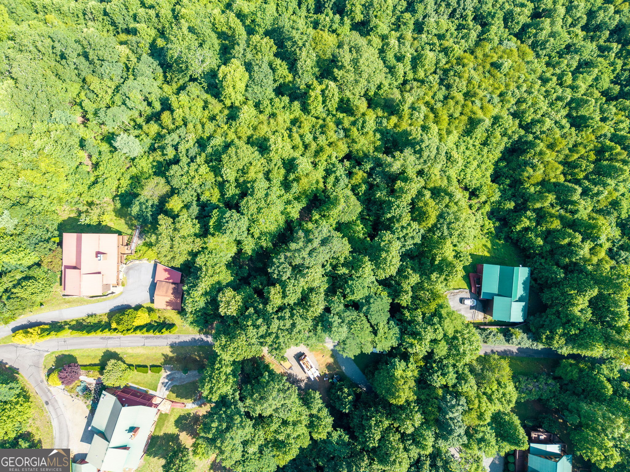 46 Buck Ridge Property Photo 4