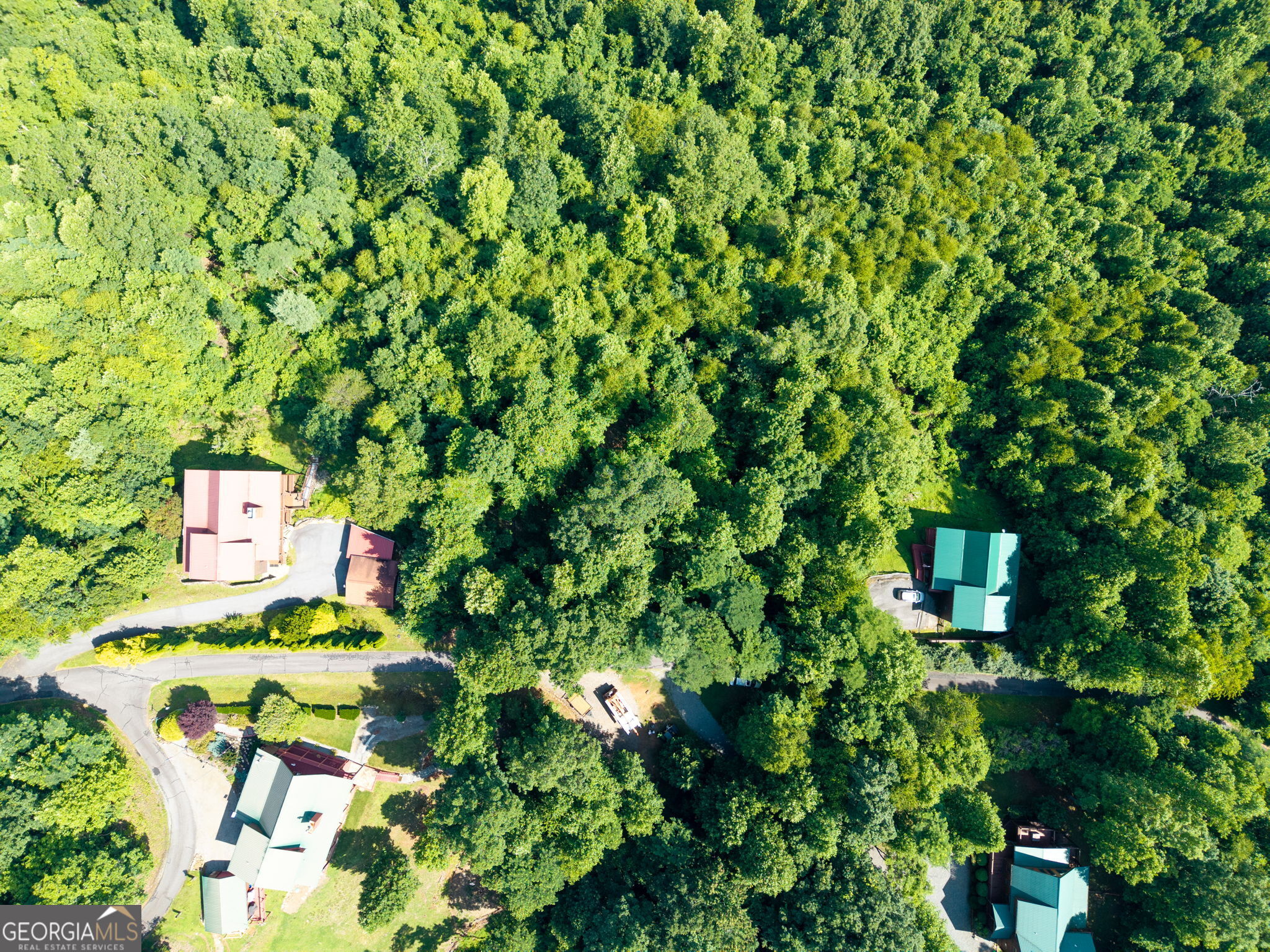 46 Buck Ridge Property Photo 5