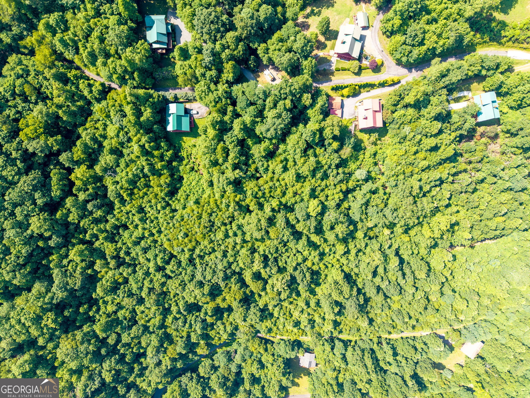 46 Buck Ridge Property Photo 11