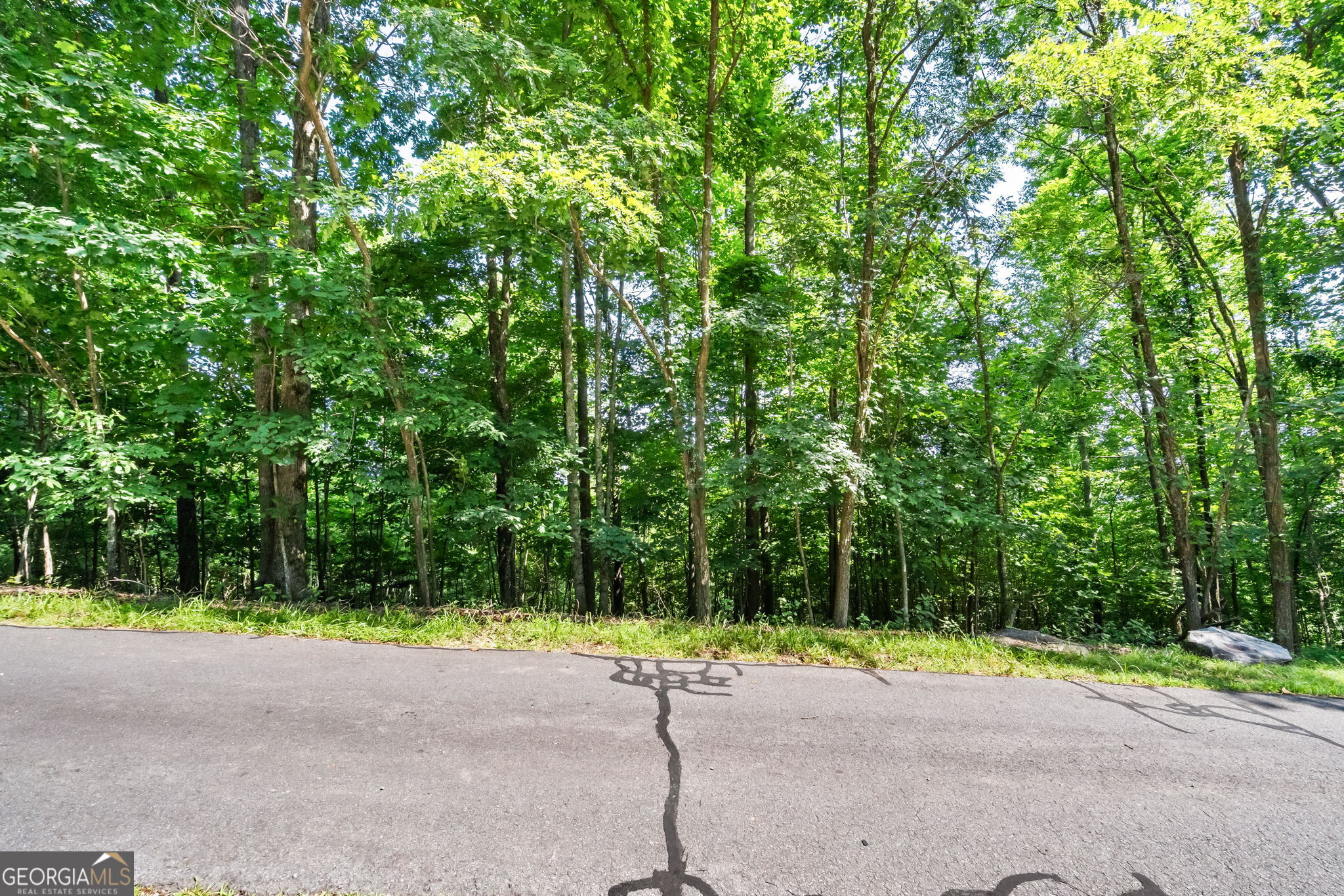 46 Buck Ridge Property Photo 12