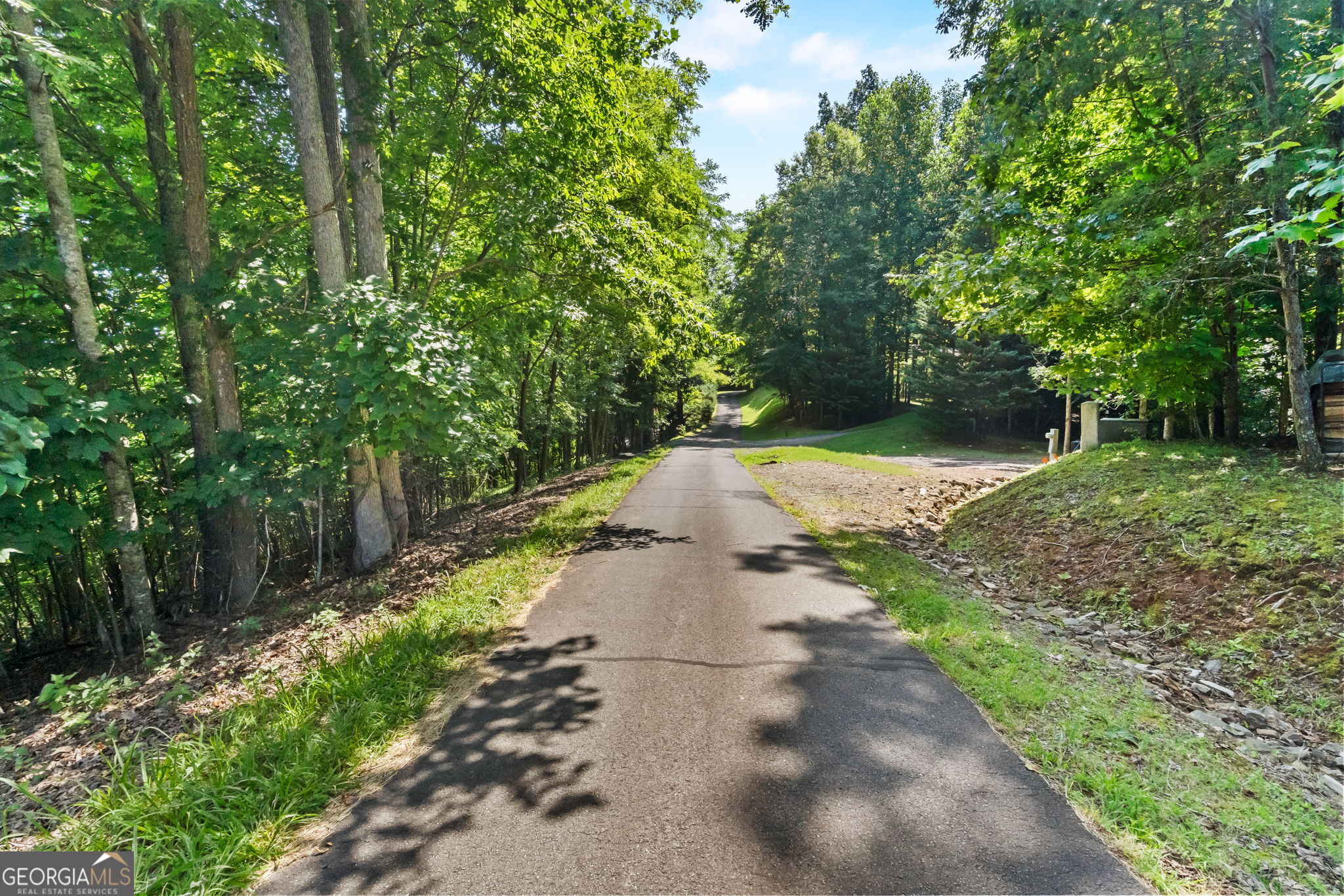46 Buck Ridge Property Photo 14