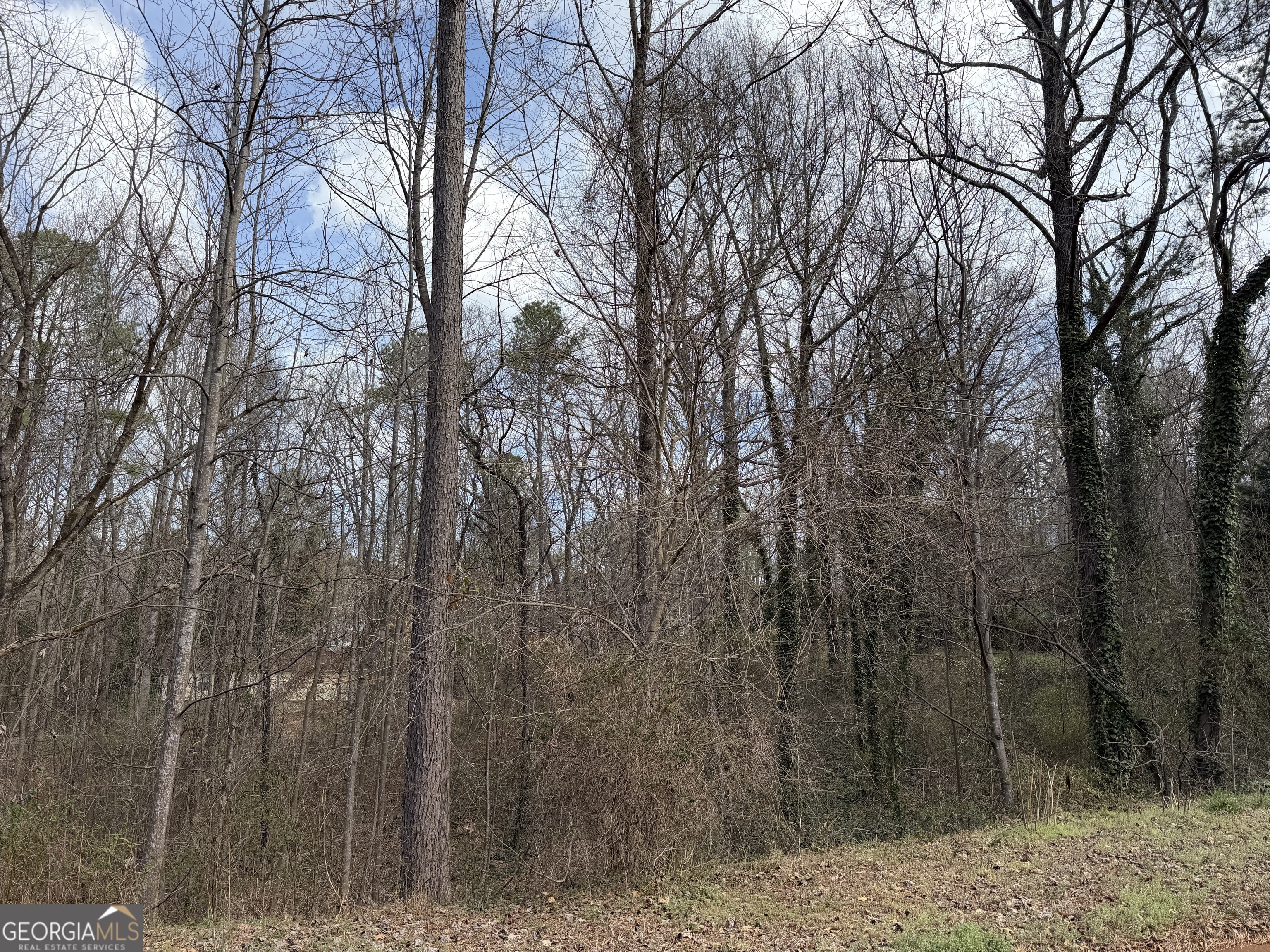 66 Red Top Circle Property Photo 2