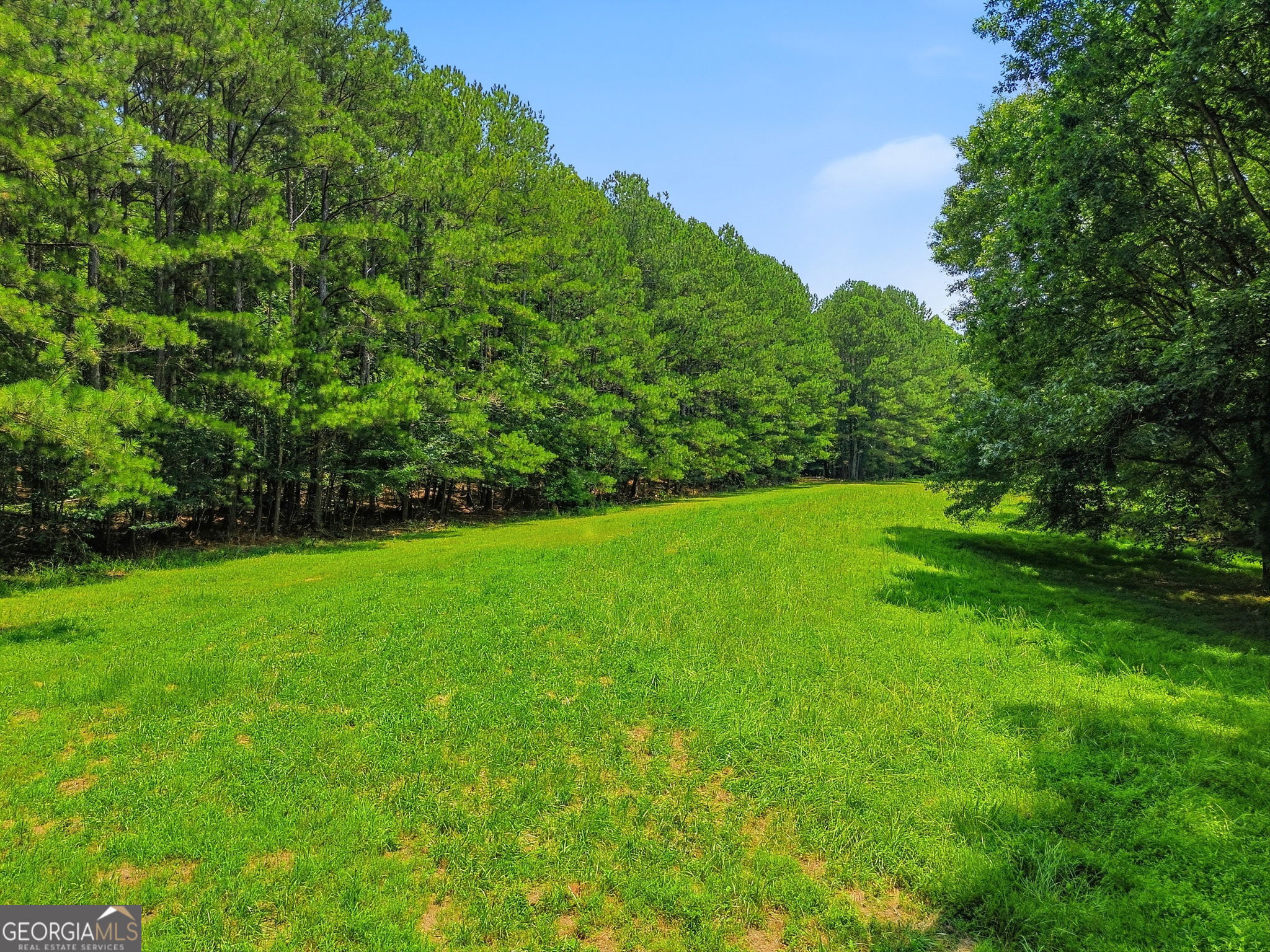 135 Amy Lane Property Photo 75