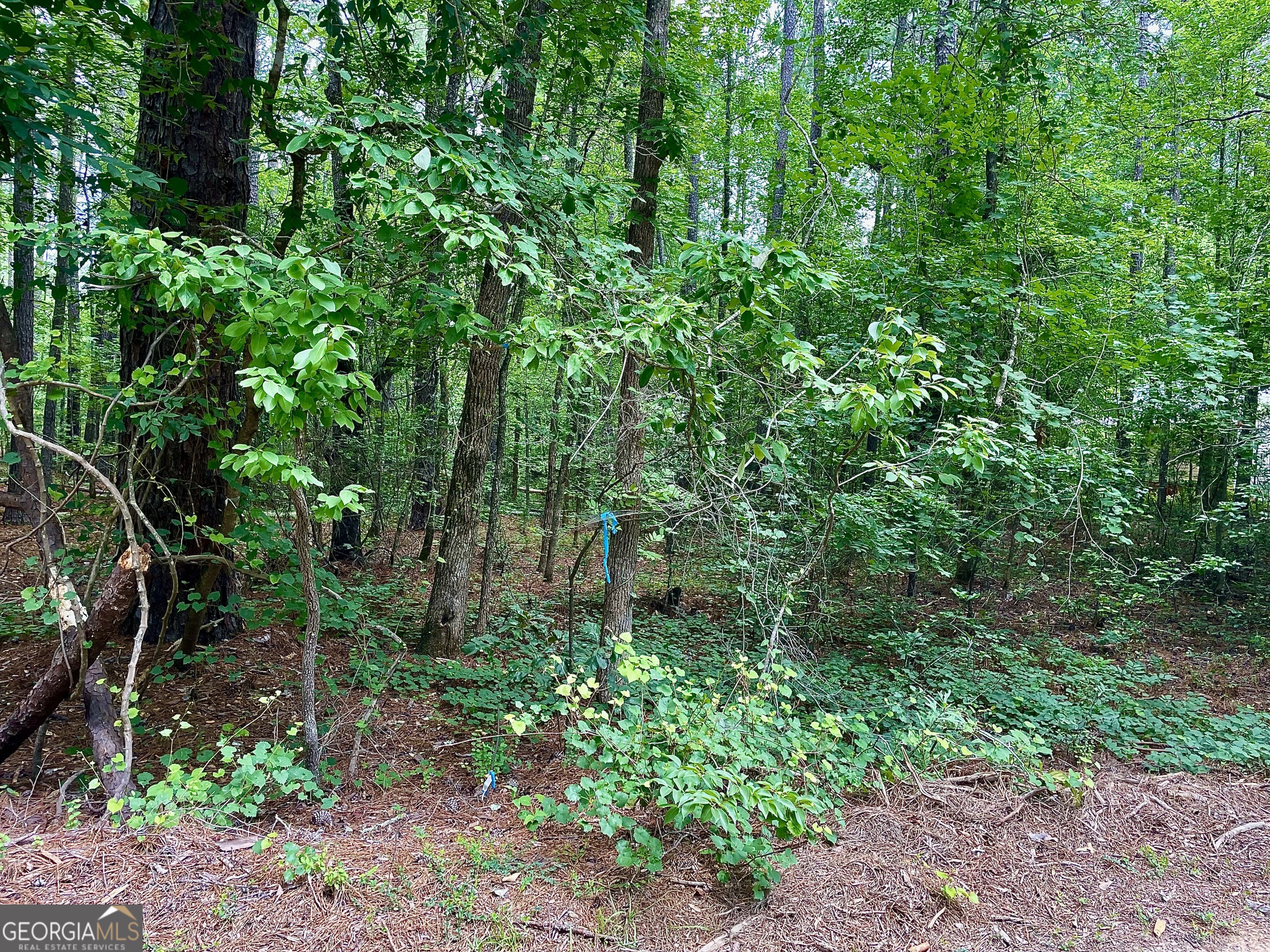 1190 Shore Drive Property Photo 31