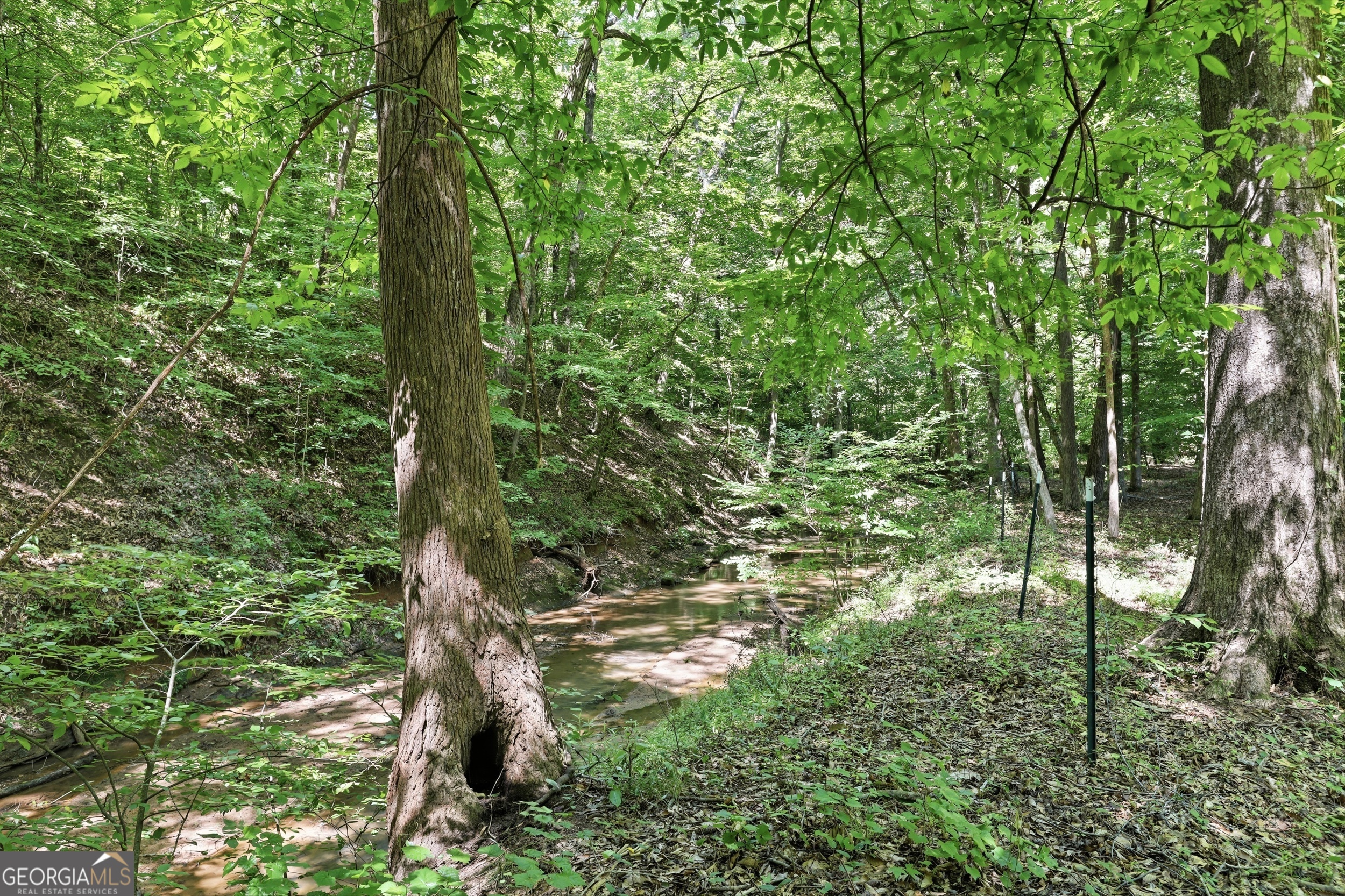 1603 Highway 63 Property Photo 53