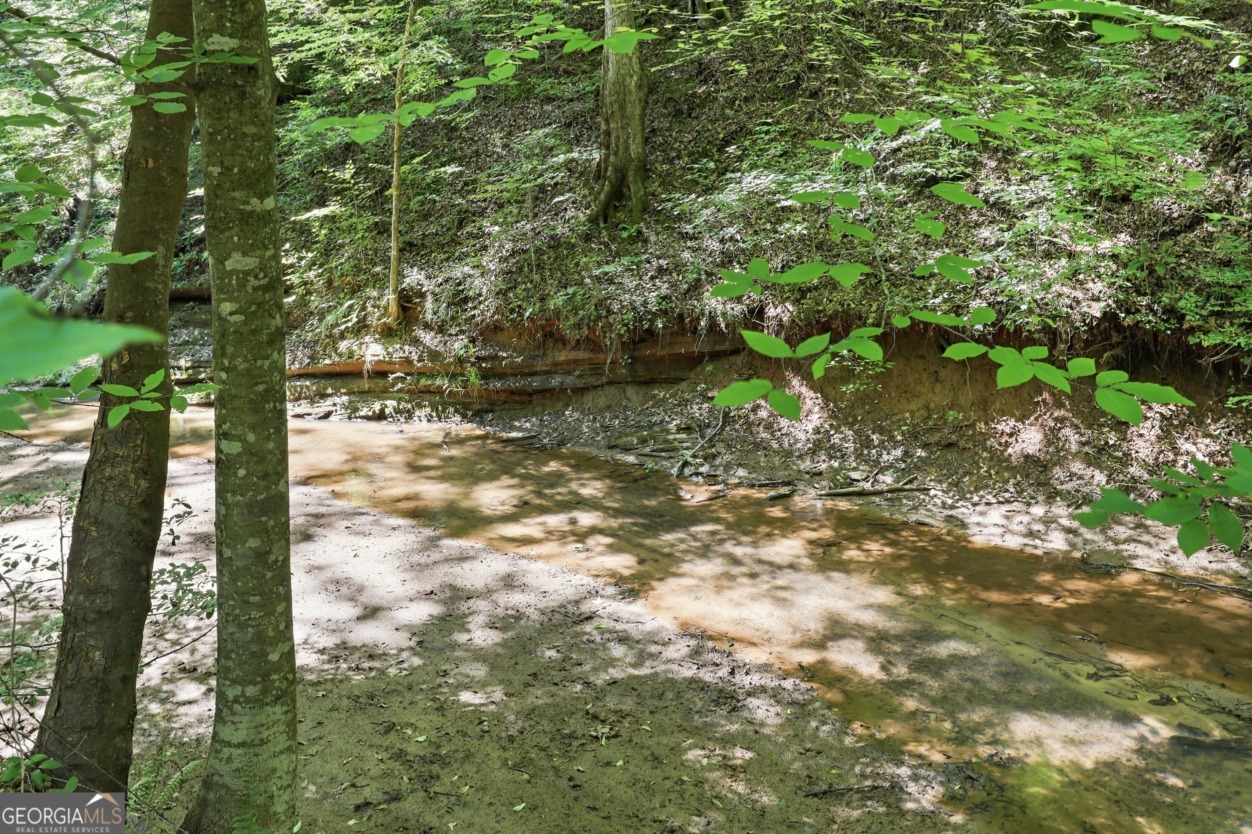 1603 Highway 63 Property Photo 54