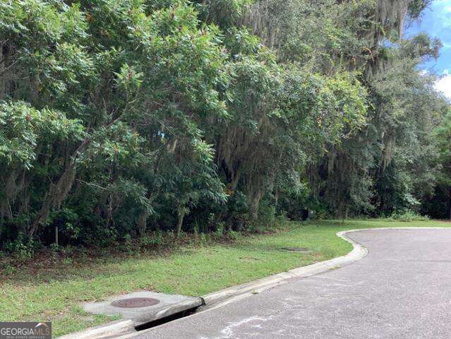 0 Lanyard Court Property Photo 1