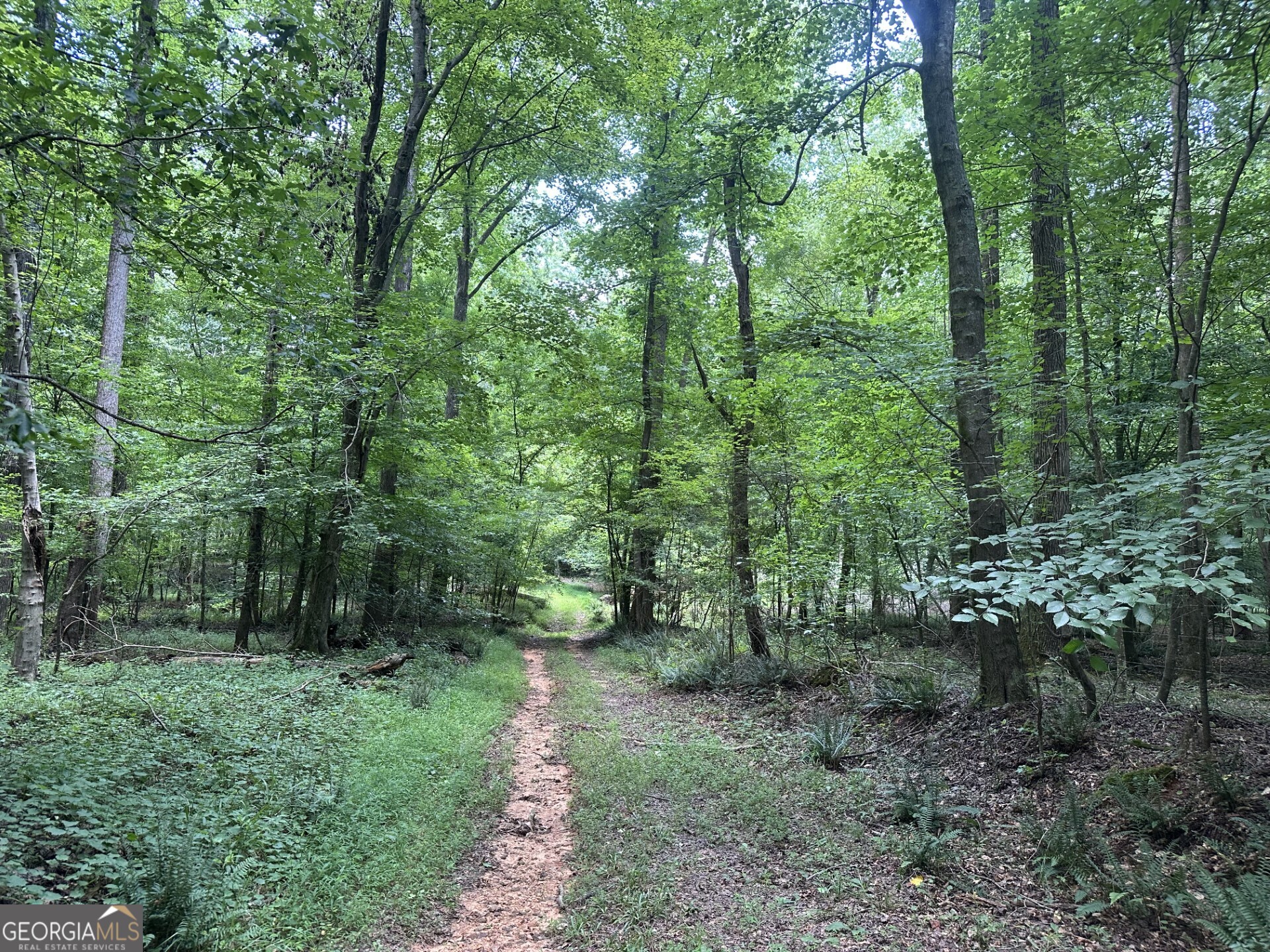 360 Happy Hollow Road Property Photo 3