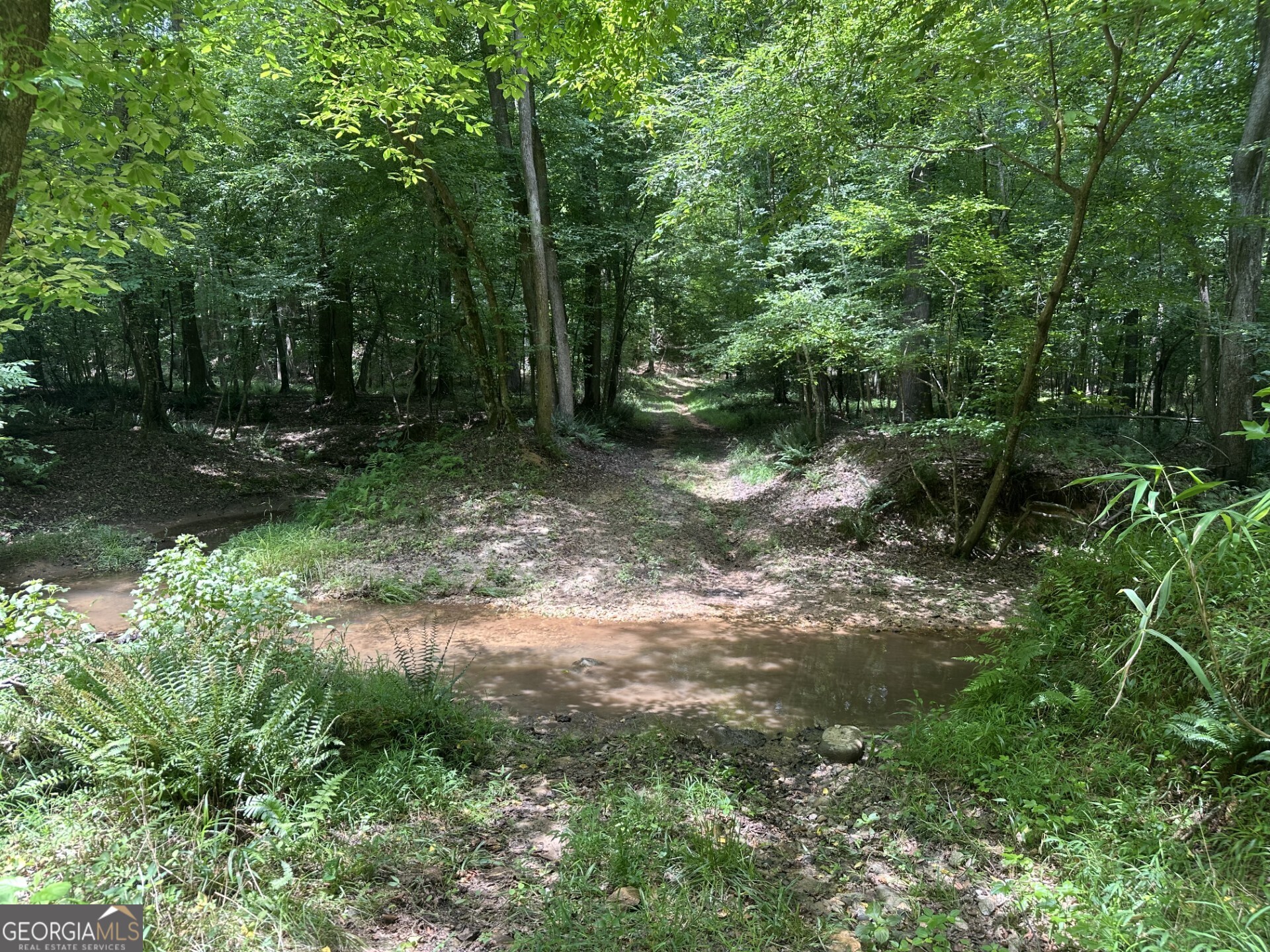 360 Happy Hollow Road Property Photo 4