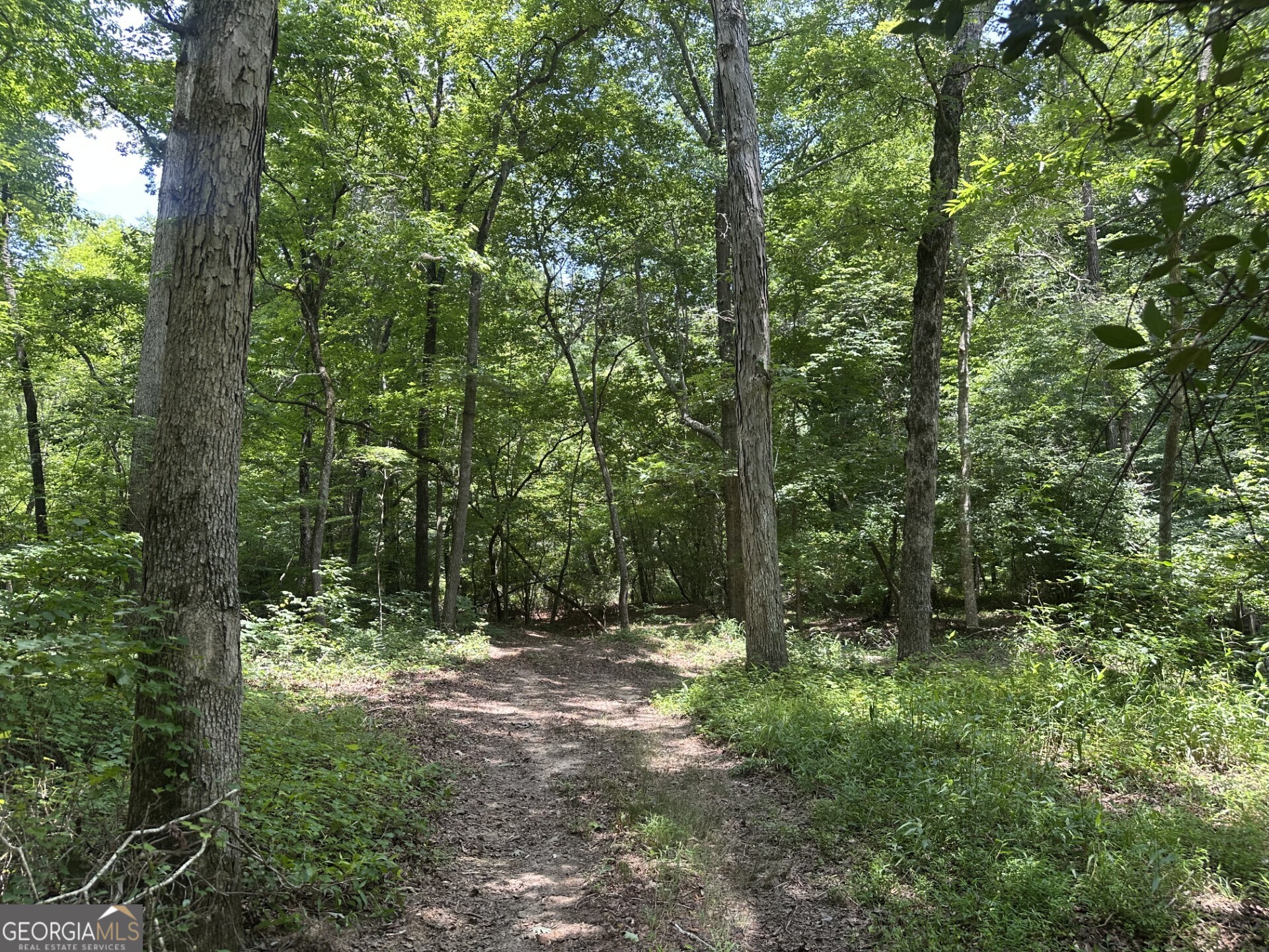 360 Happy Hollow Road Property Photo 7