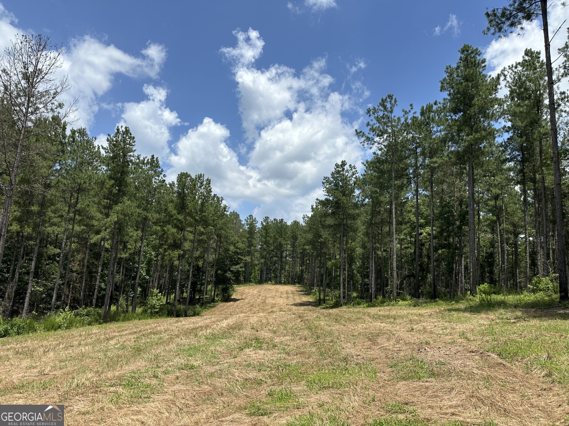 360 Happy Hollow Road Property Photo 8