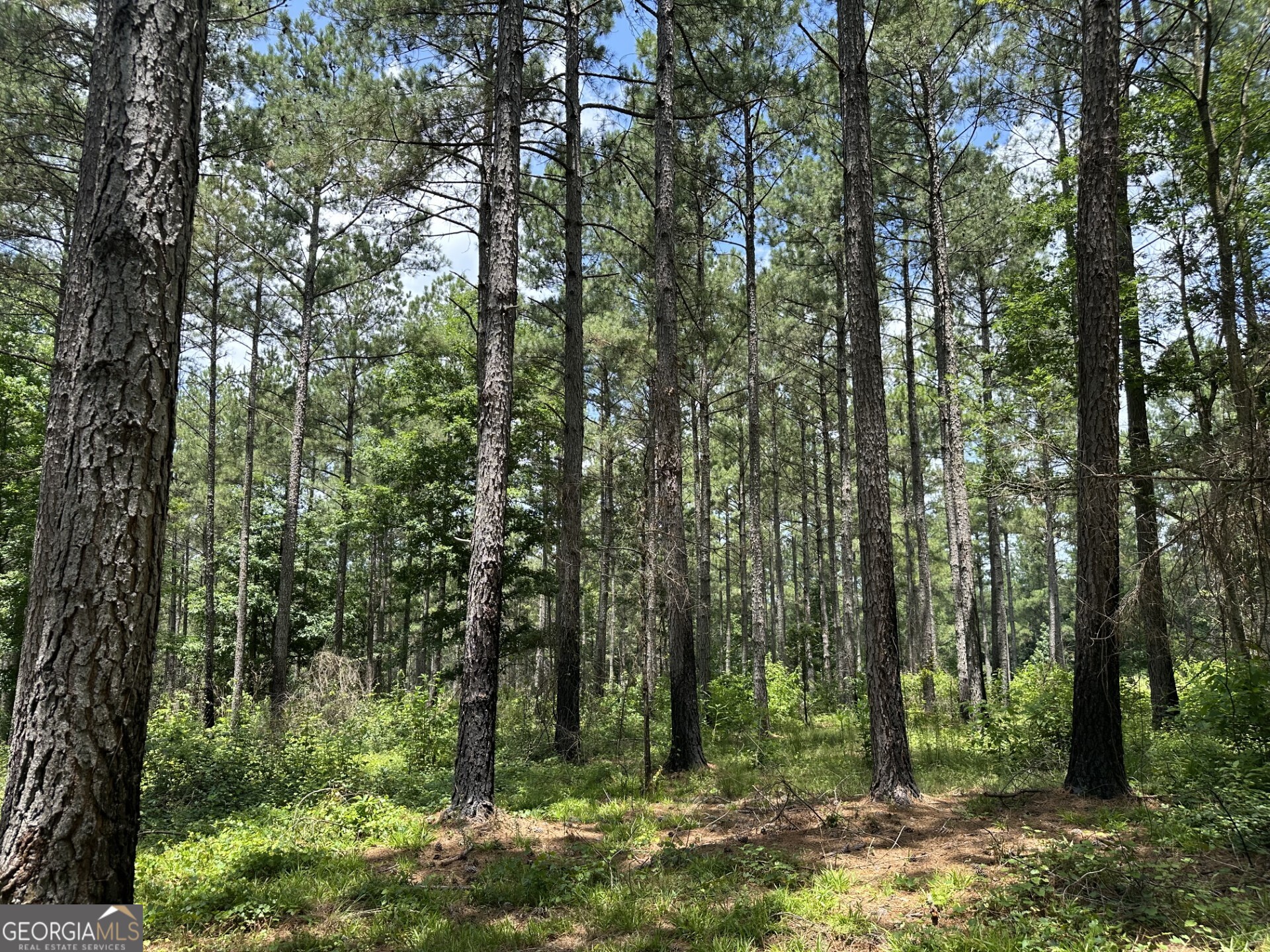 360 Happy Hollow Road Property Photo 10