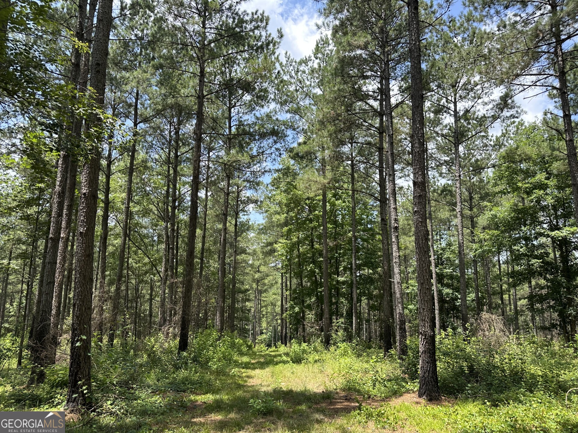 360 Happy Hollow Road Property Photo 11