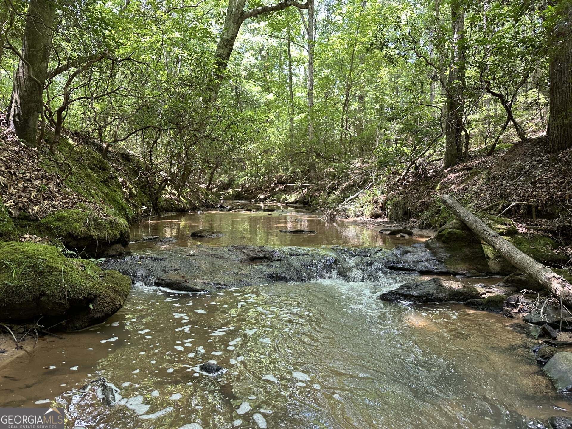 360 Happy Hollow Road Property Photo 12