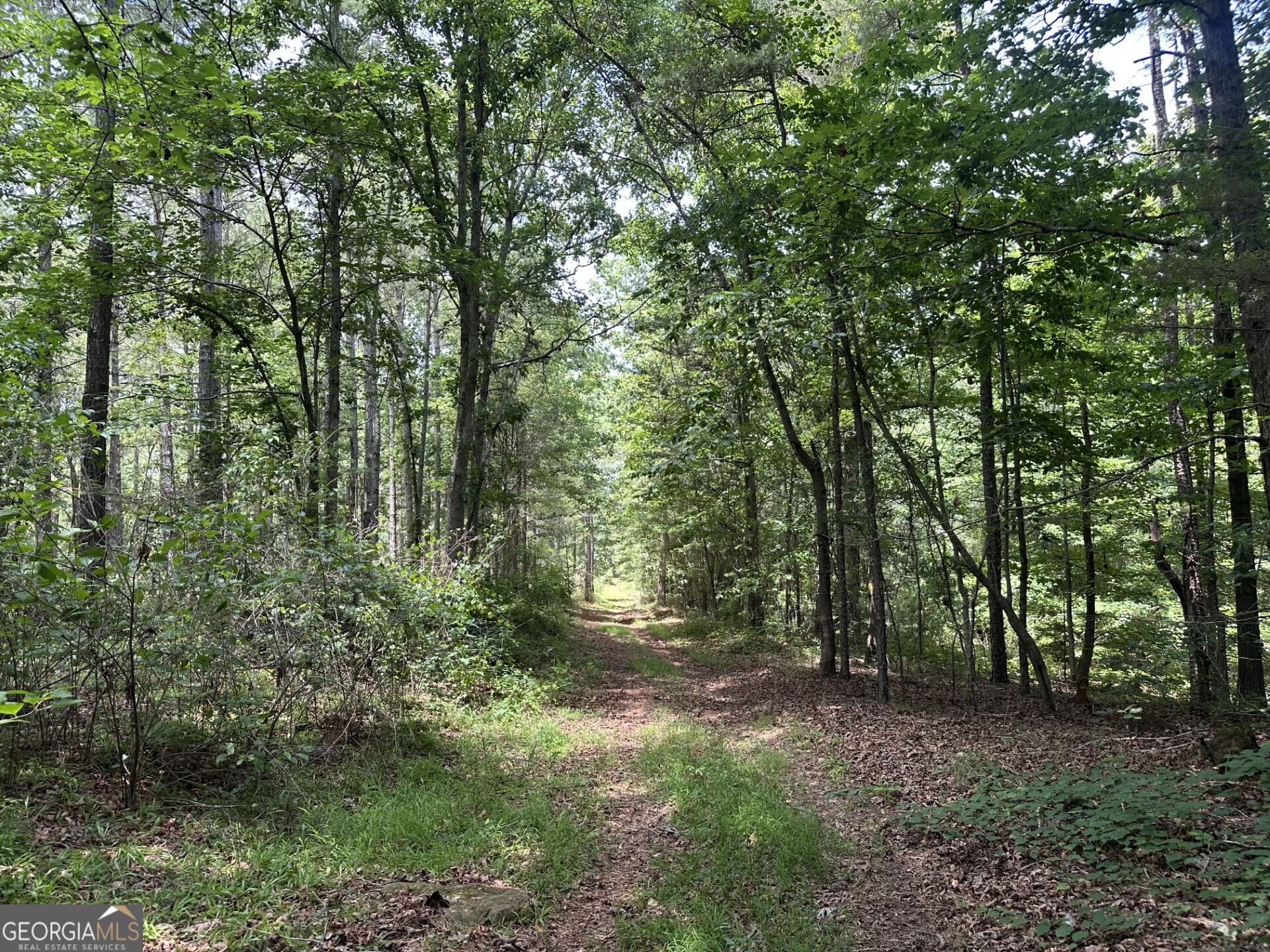 360 Happy Hollow Road Property Photo 14