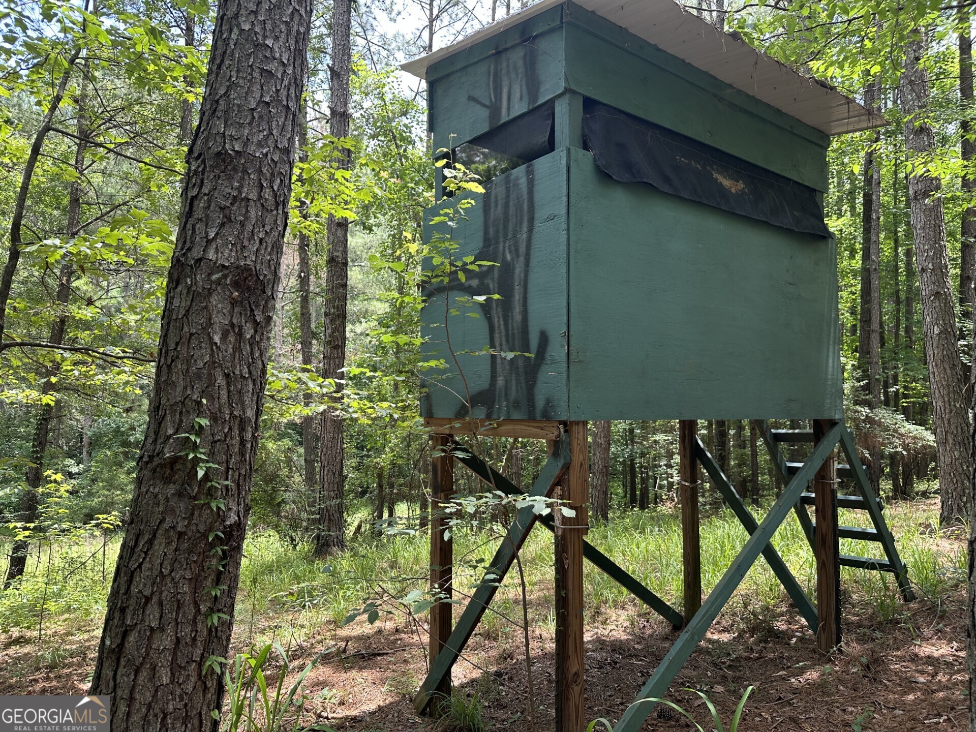 360 Happy Hollow Road Property Photo 15