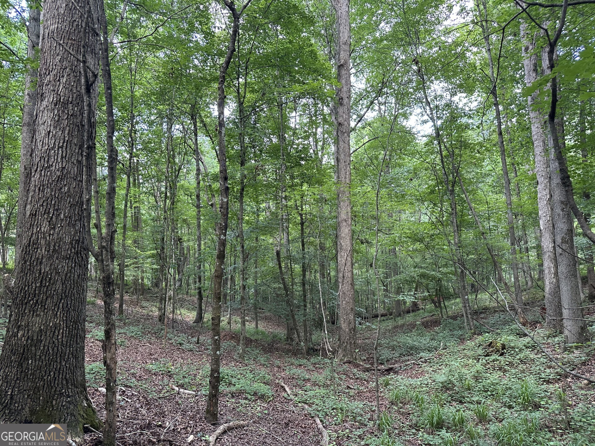 360 Happy Hollow Road Property Photo 16