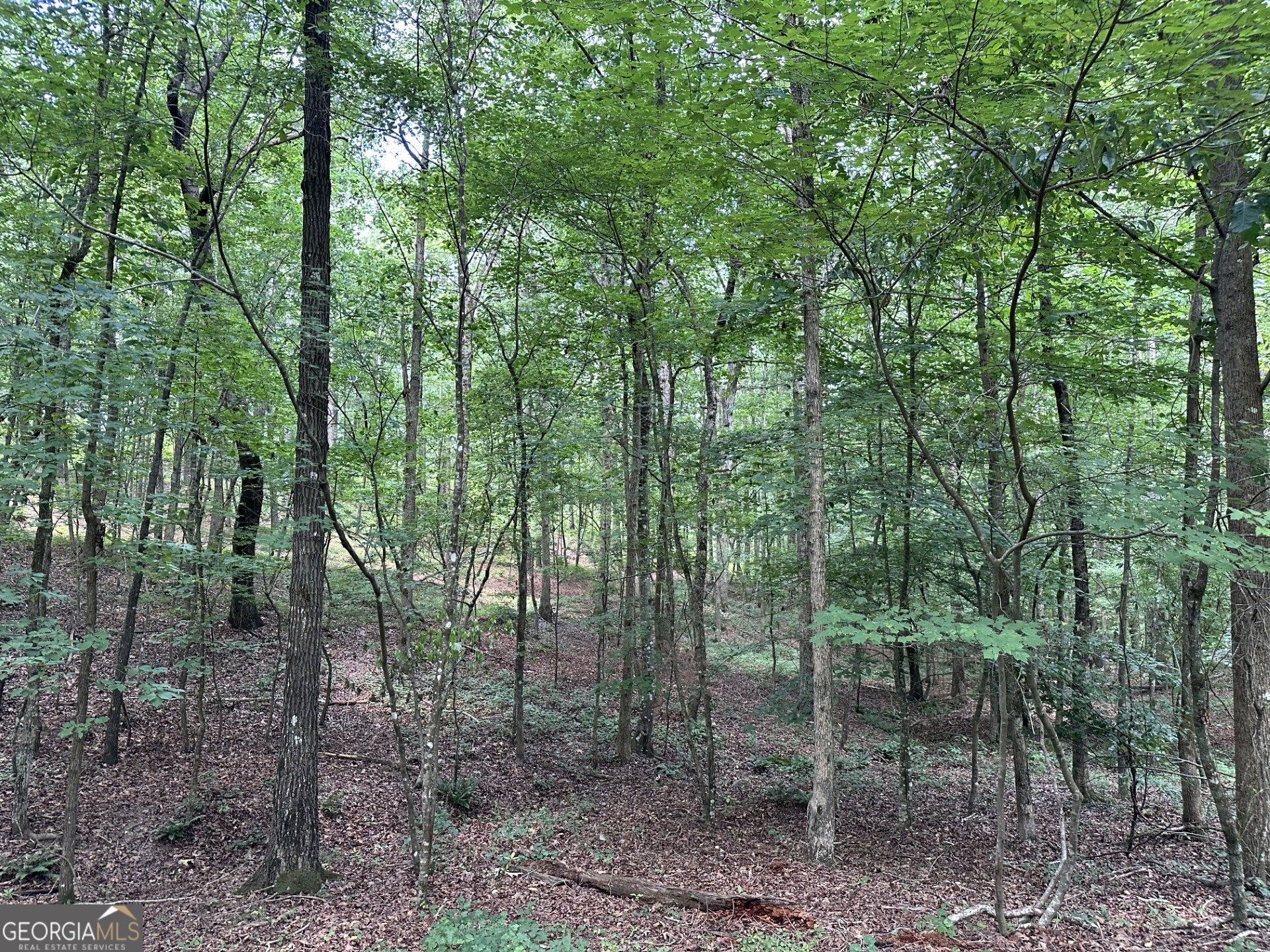 360 Happy Hollow Road Property Photo 17
