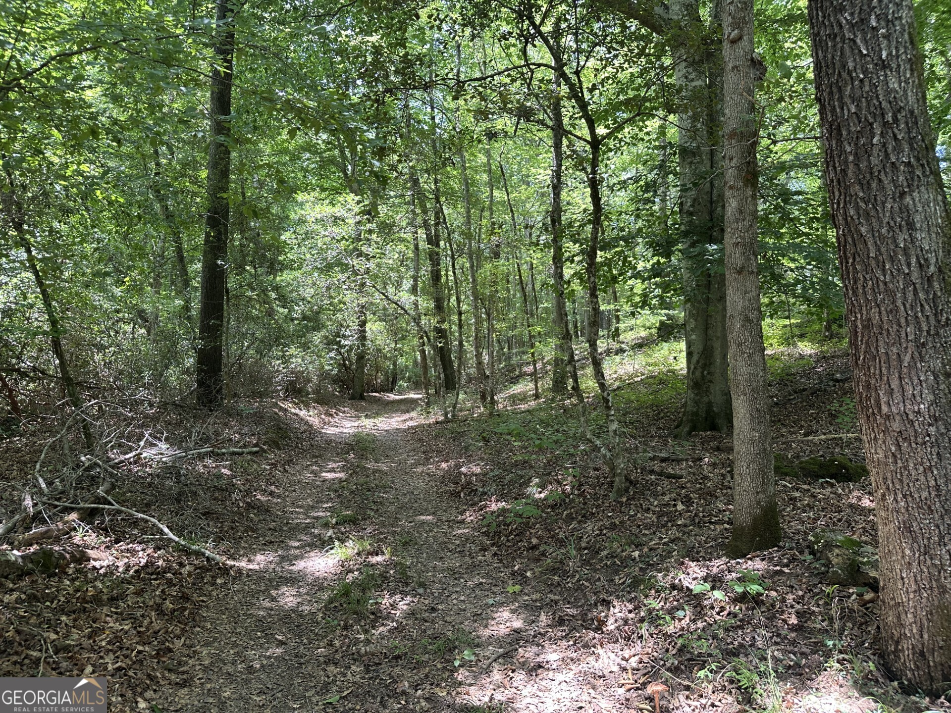 360 Happy Hollow Road Property Photo 18
