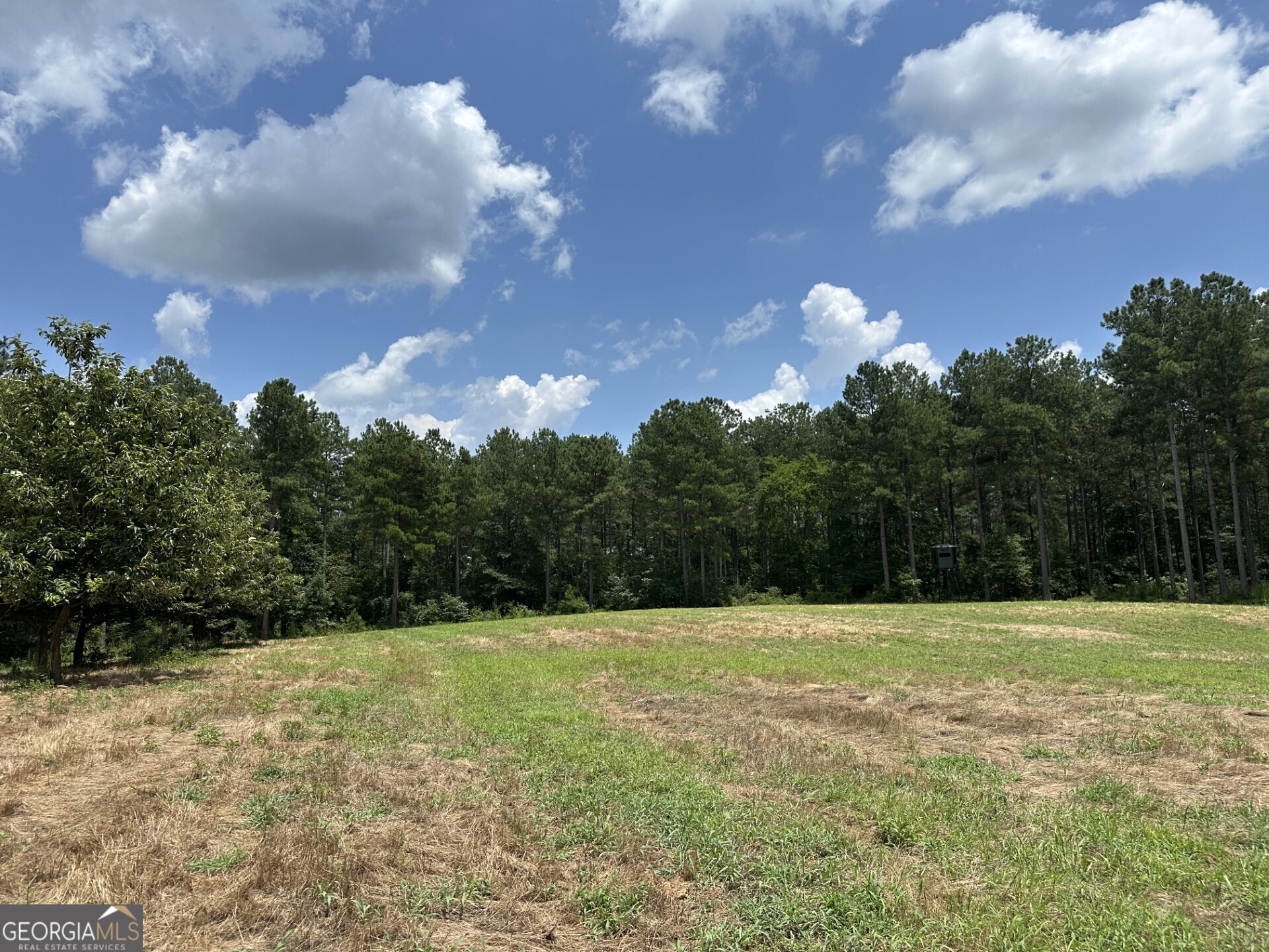 360 Happy Hollow Road Property Photo 19