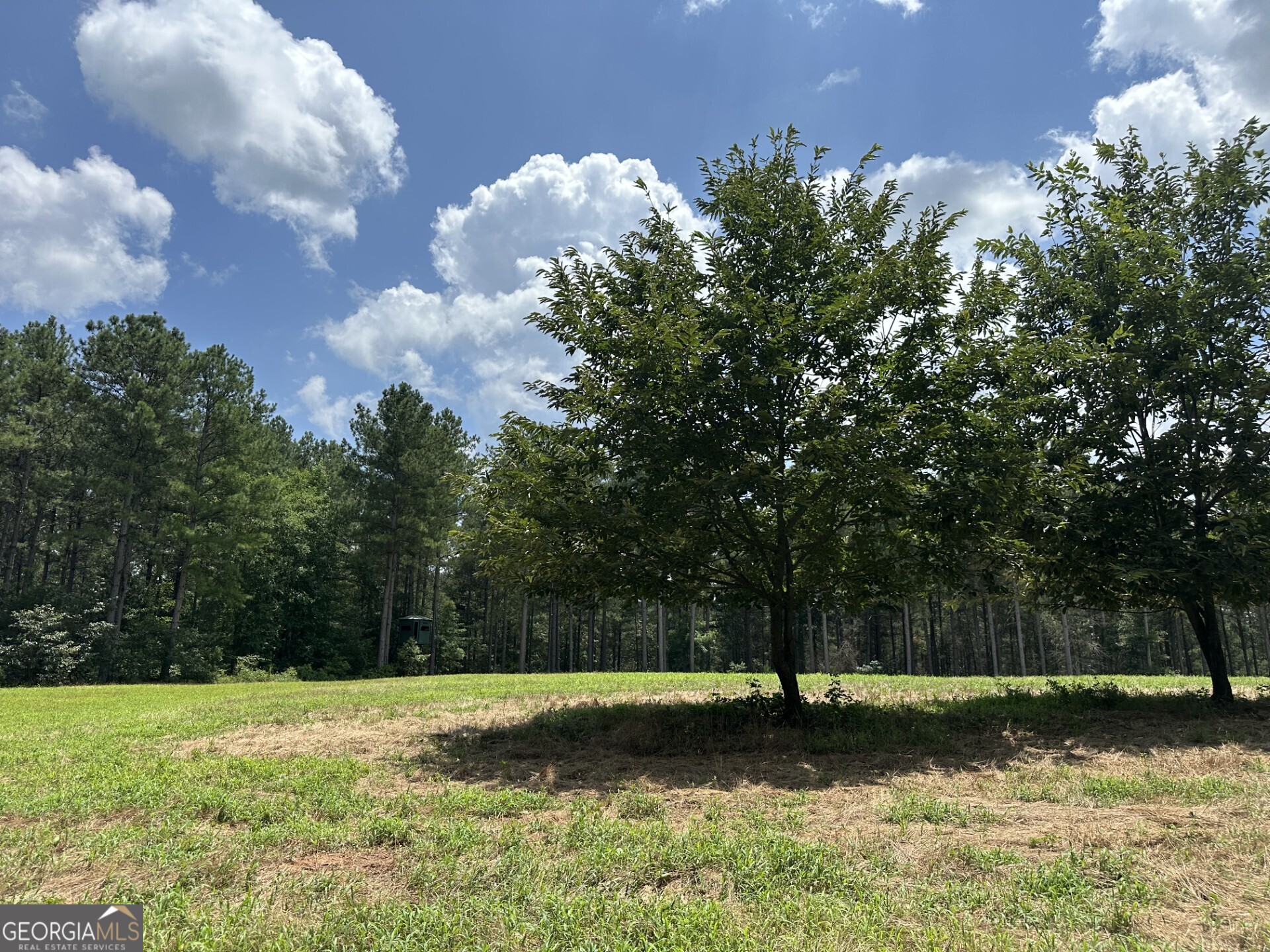360 Happy Hollow Road Property Photo 21