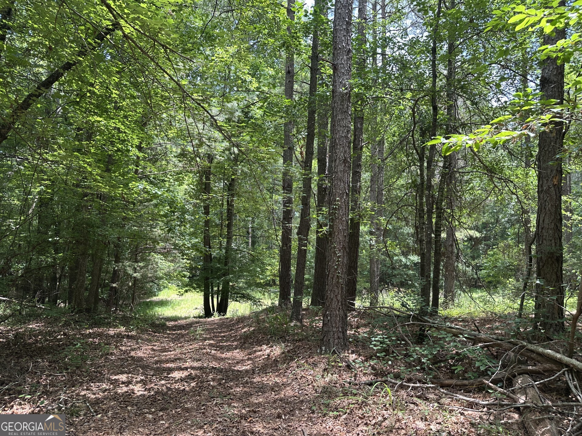 360 Happy Hollow Road Property Photo 22