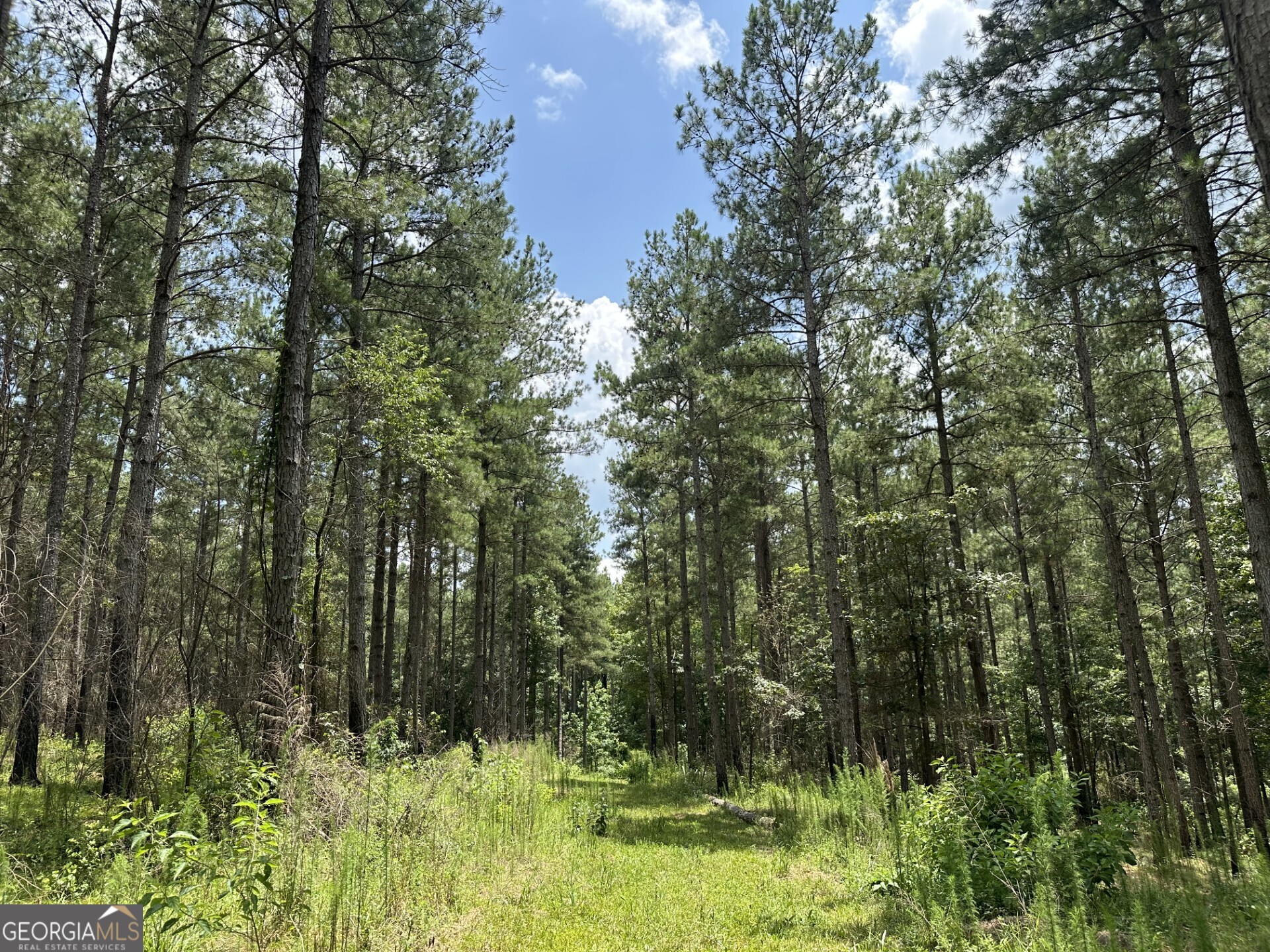 360 Happy Hollow Road Property Photo 23