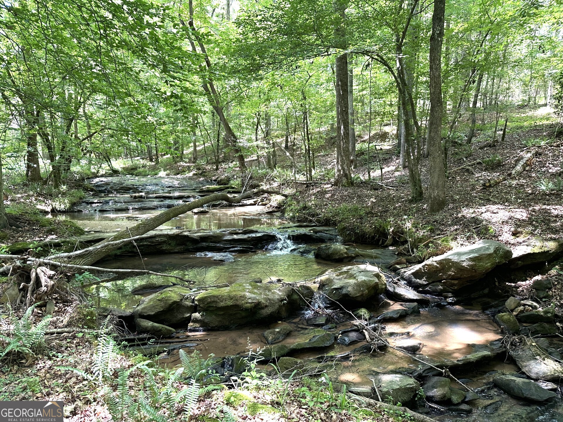 360 Happy Hollow Road Property Photo 25