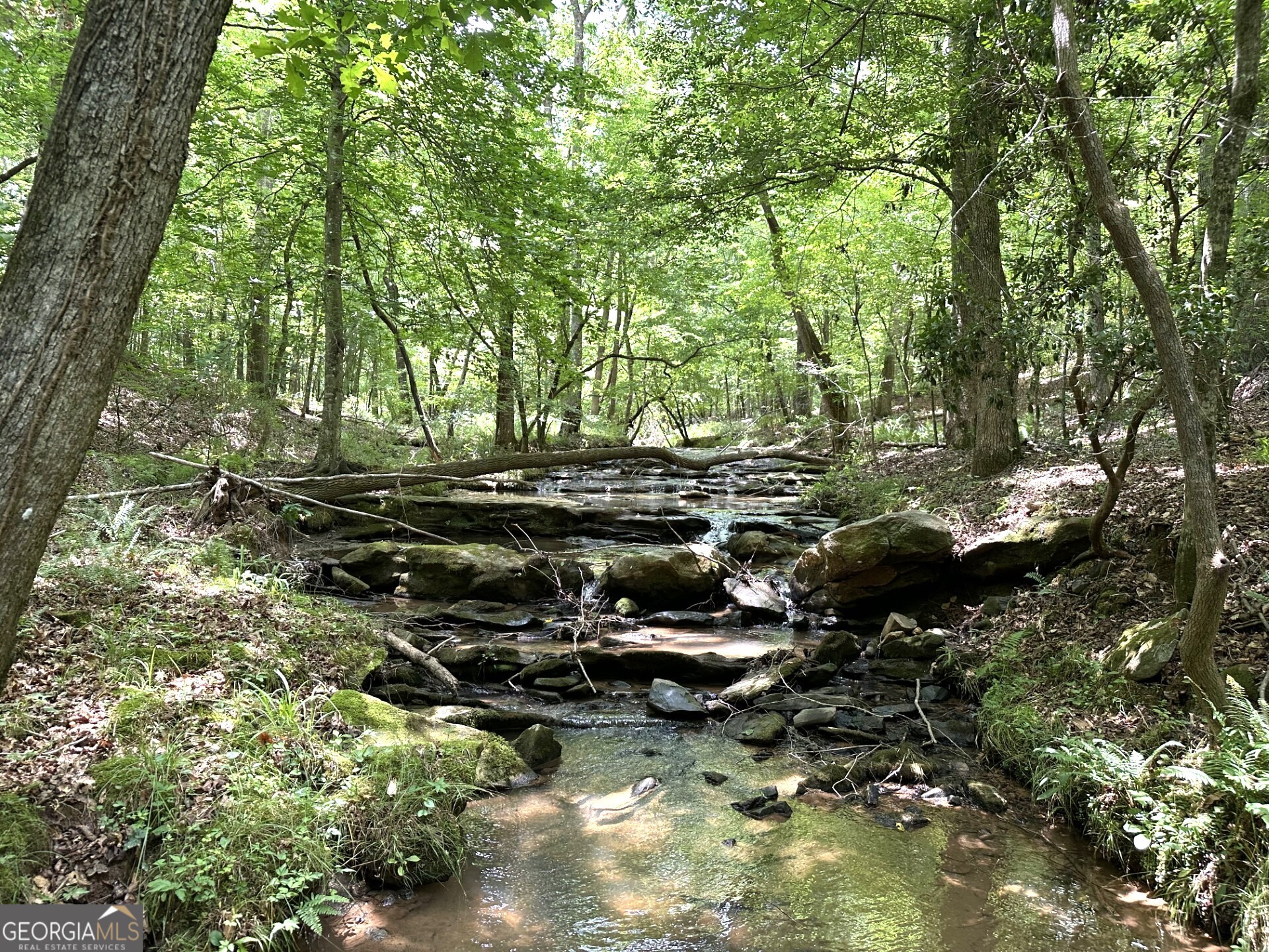 360 Happy Hollow Road Property Photo 26