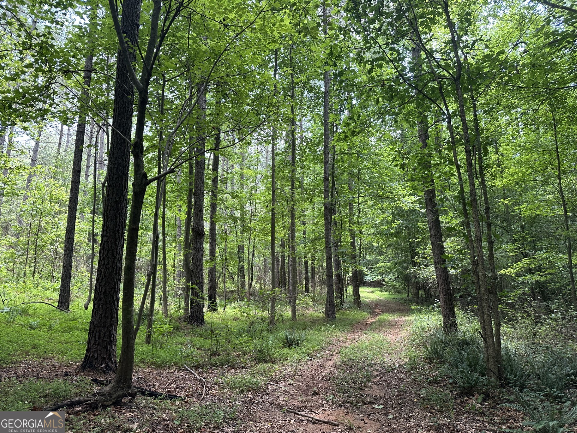360 Happy Hollow Road Property Photo 27